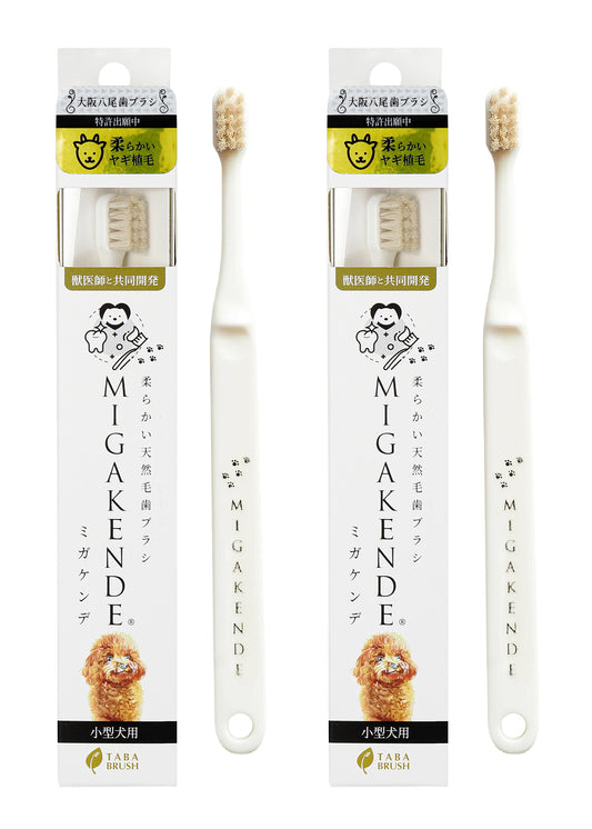 柔らかい天然毛歯ブラシ ミガケンデ 小型犬用 柔らかいヤギ植毛 超柔らか 2本