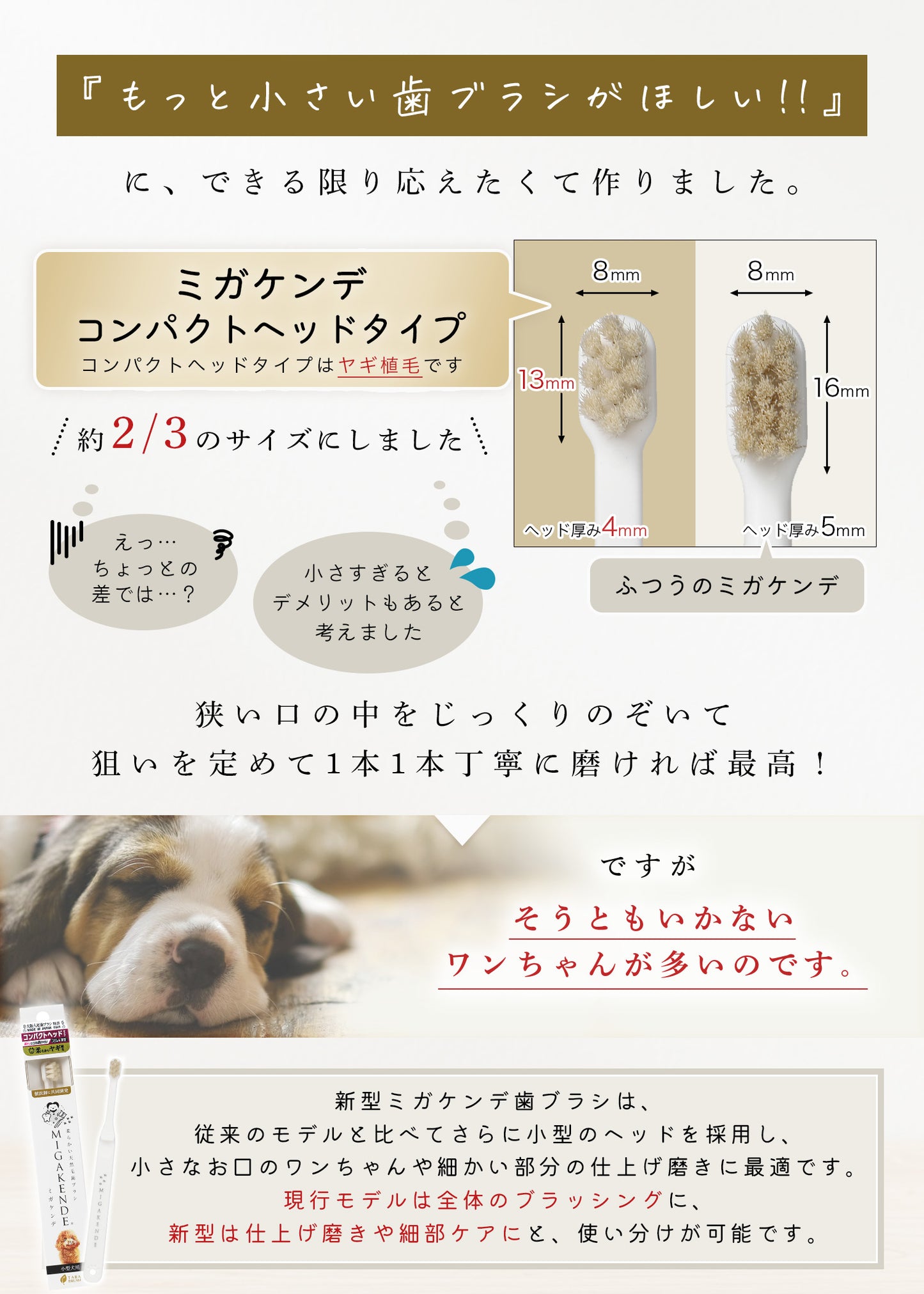 柔らかい天然毛歯ブラシ ミガケンデ 小型犬用 コンパクトヘッドタイプ (ヤギ植毛 ) 1本