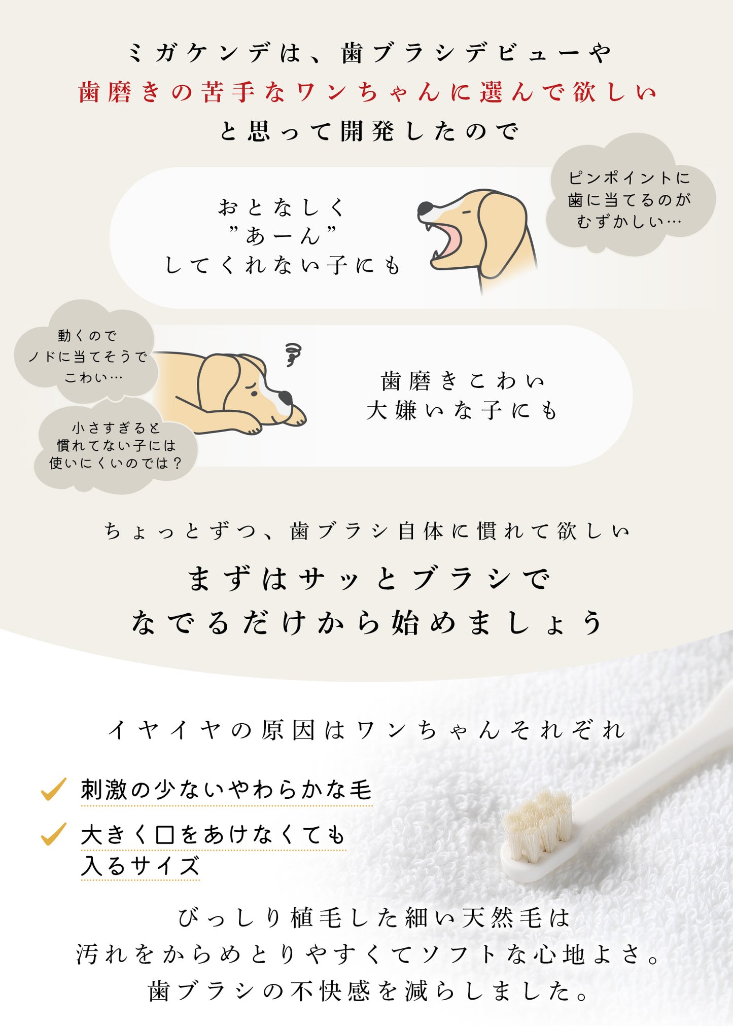 柔らかい天然毛歯ブラシ ミガケンデ 小型犬用 コンパクトヘッドタイプ (ヤギ植毛 ) 1本