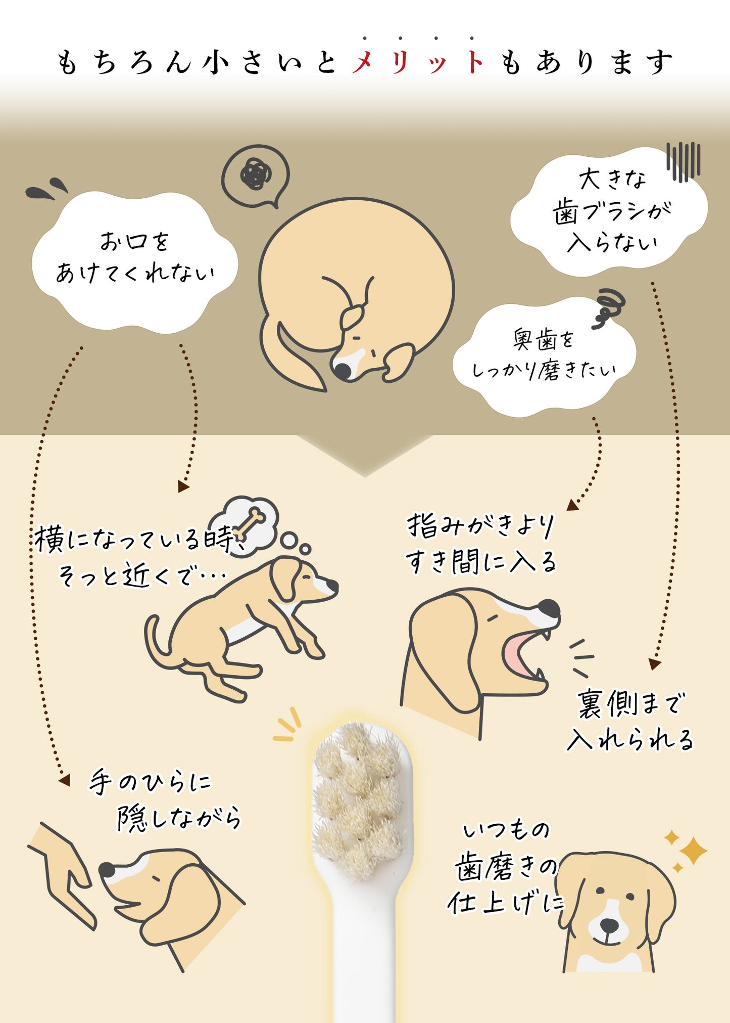 柔らかい天然毛歯ブラシ ミガケンデ 小型犬用 コンパクトヘッドタイプ (ヤギ植毛 ) 1本