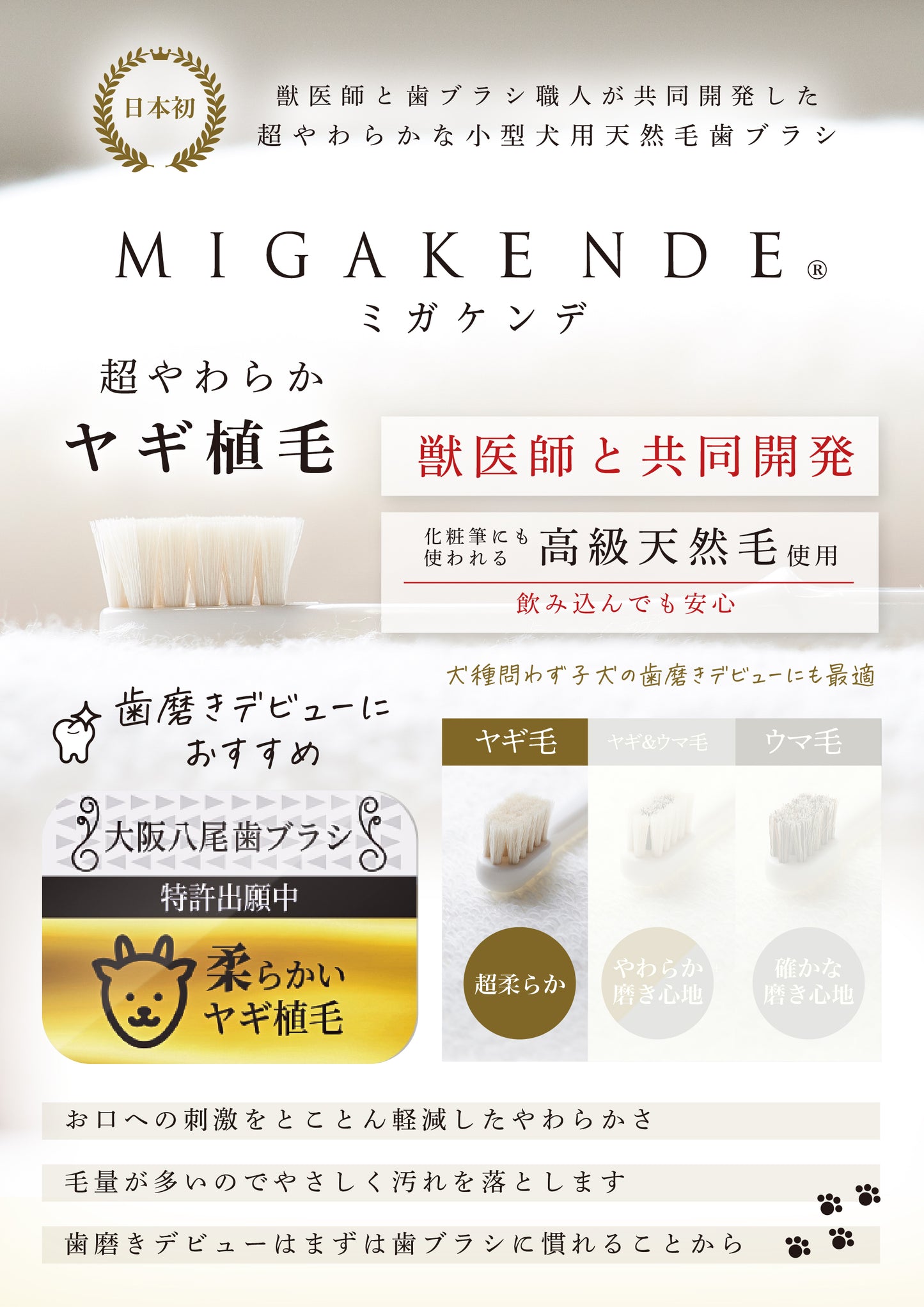 柔らかい天然毛歯ブラシ ミガケンデ 小型犬用 柔らかいヤギ植毛 超柔らか 12本 ギフトセット