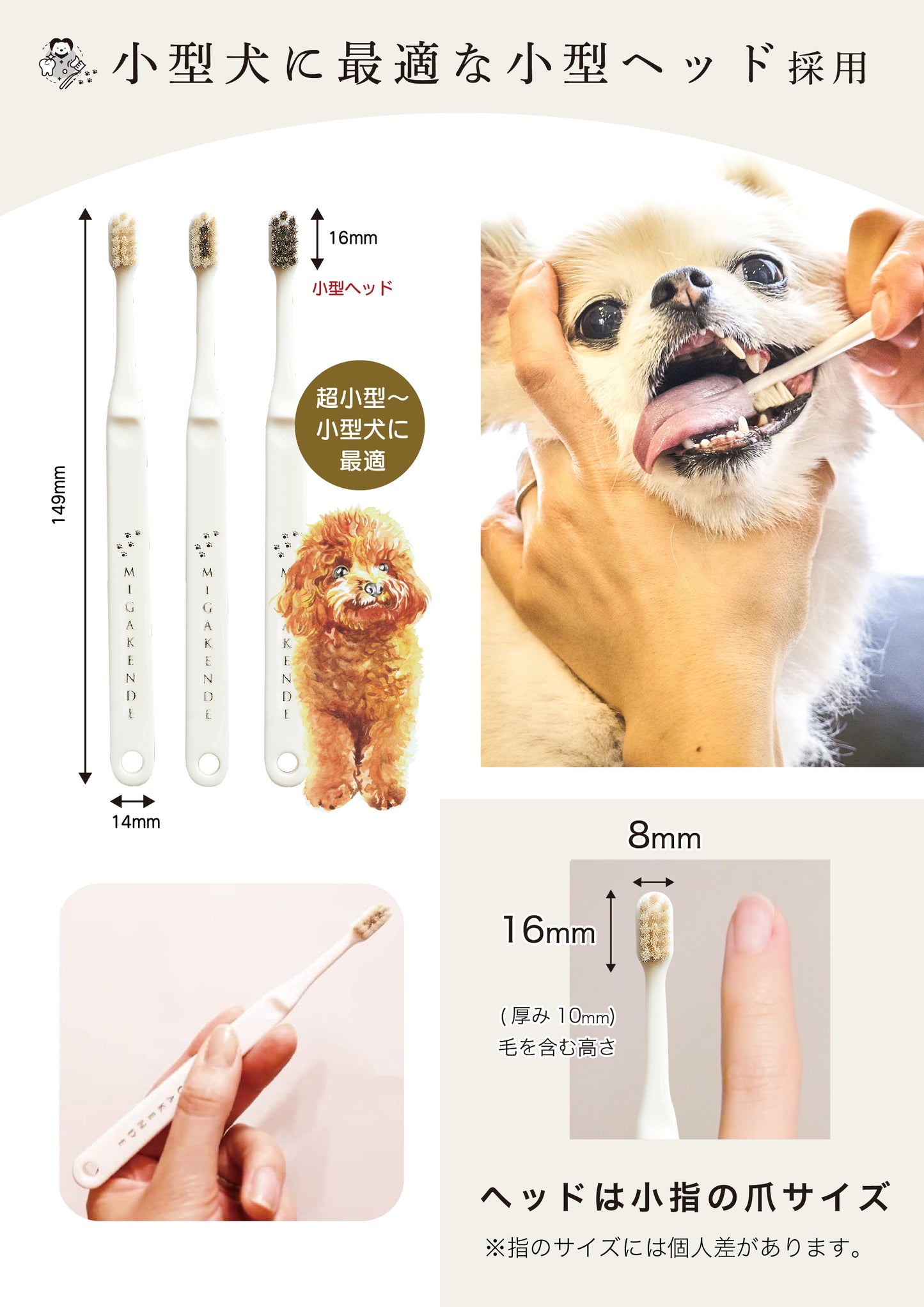 柔らかい天然毛歯ブラシ ミガケンデ 小型犬用 確かな心地 ウマ植毛 確かな磨き心地 1本