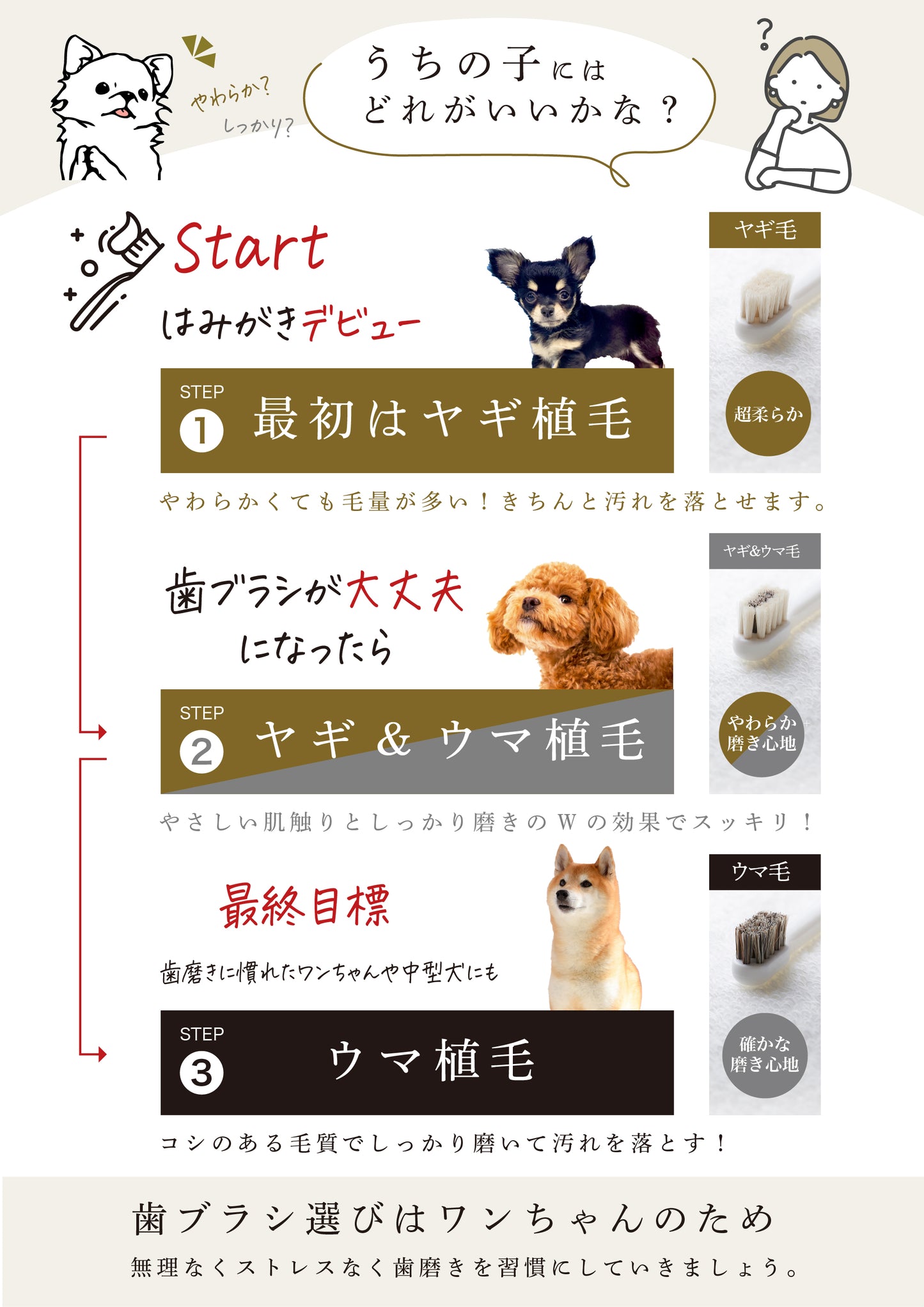 柔らかい天然毛歯ブラシ ミガケンデ 小型犬用 確かな心地 ウマ植毛 確かな磨き心地 1本