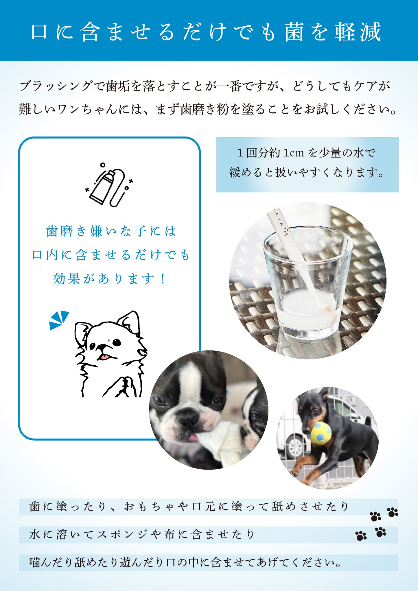 MIGAKENDE ミガケンデ 歯磨き粉 for DOG 20g お得セット