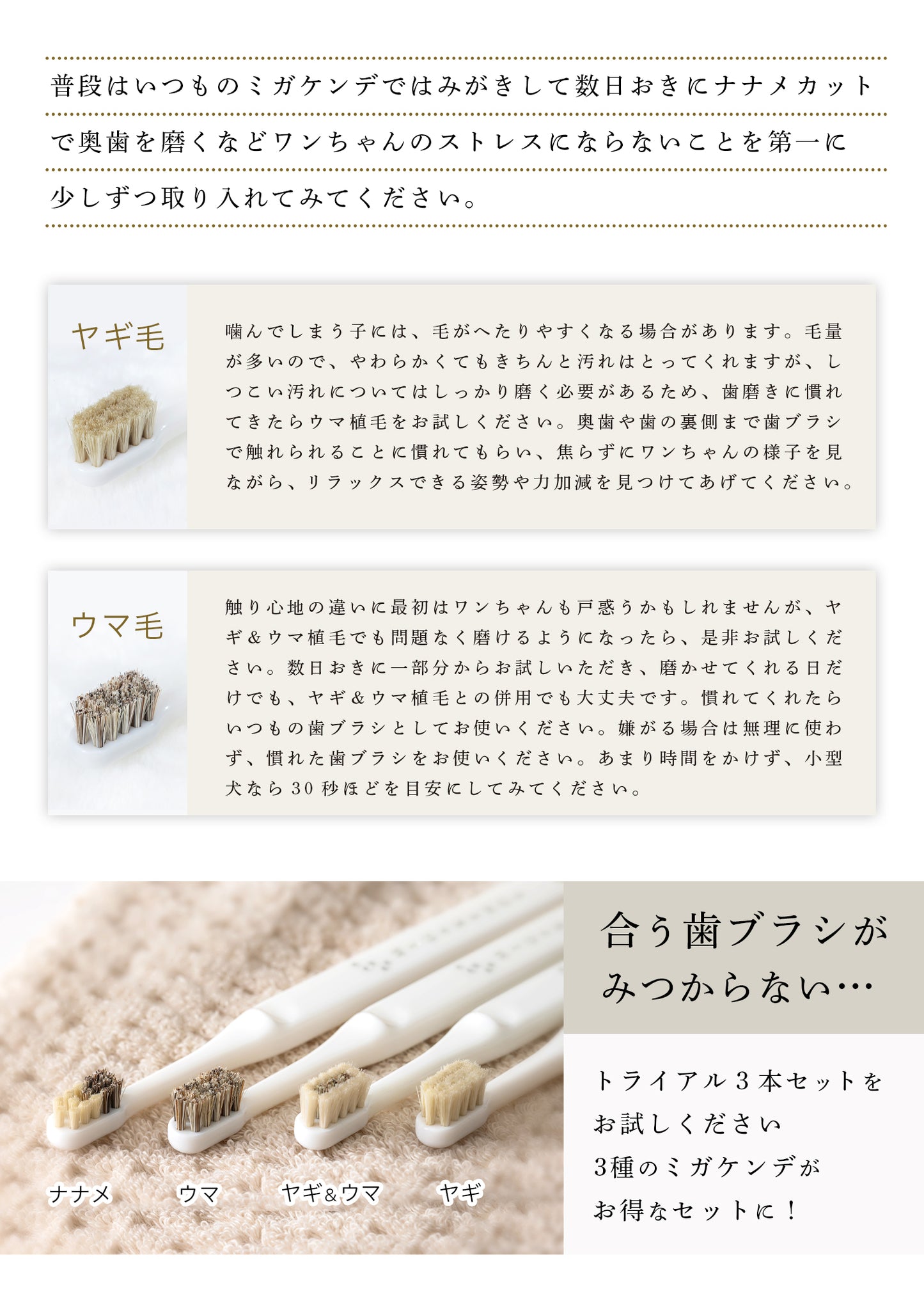 柔らかい天然毛歯ブラシ ミガケンデ 小型犬用 斜めカット植毛(ヤギ&ウマ) 1本