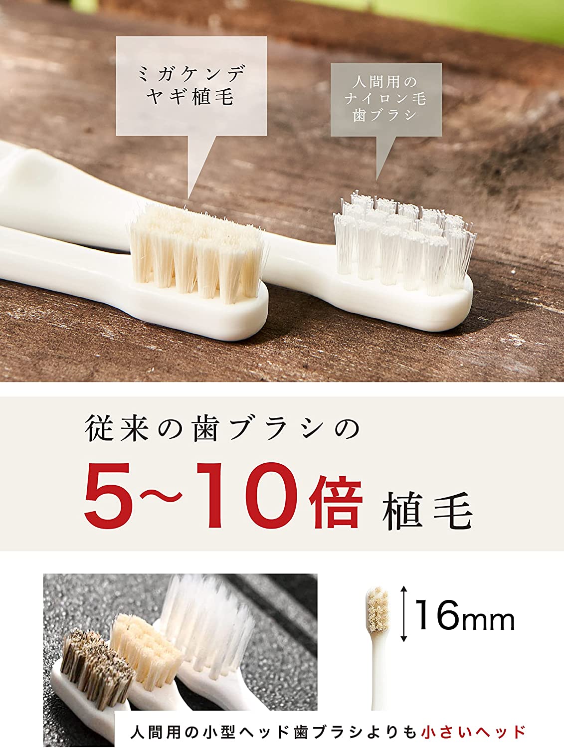 柔らかい天然毛歯ブラシ ミガケンデ 小型犬用 斜めカット植毛(ヤギ&ウマ) 1本