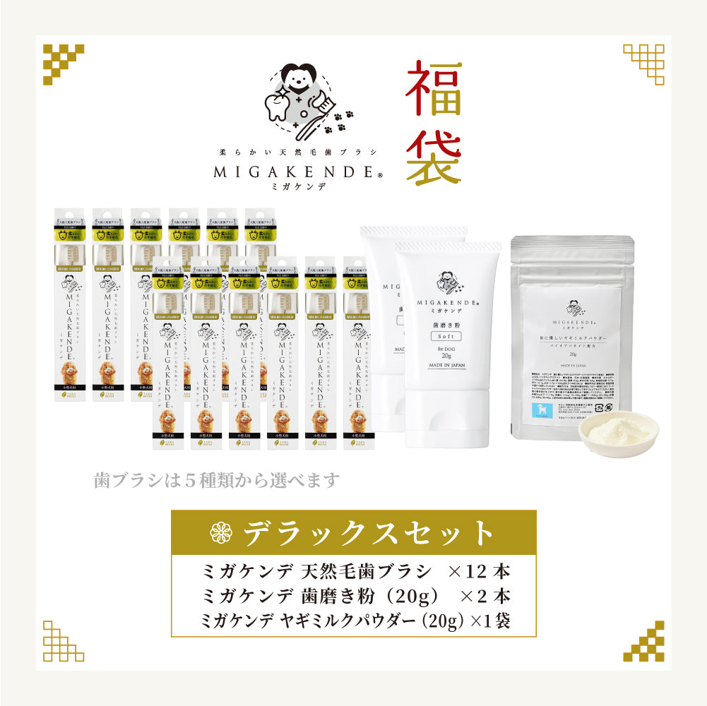 【NEW】ミガケンデ デンタルケア福袋 2026 デラックスセット