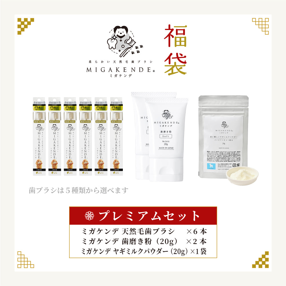 【NEW】ミガケンデ デンタルケア福袋 2026 プレミアムセット