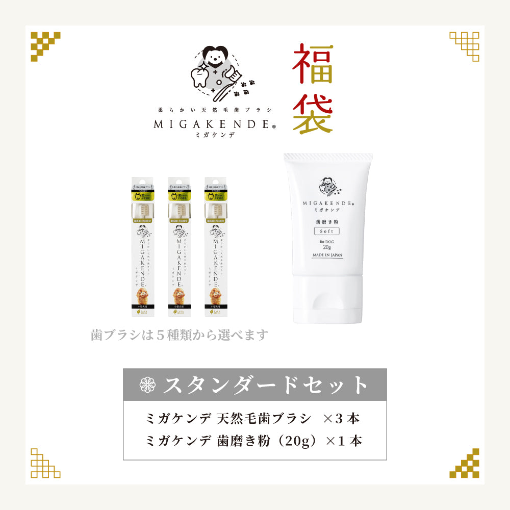 【NEW】ミガケンデ デンタルケア福袋 2026 スタンダードセット