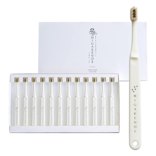 ミガケンデ 12本 ギフトセット