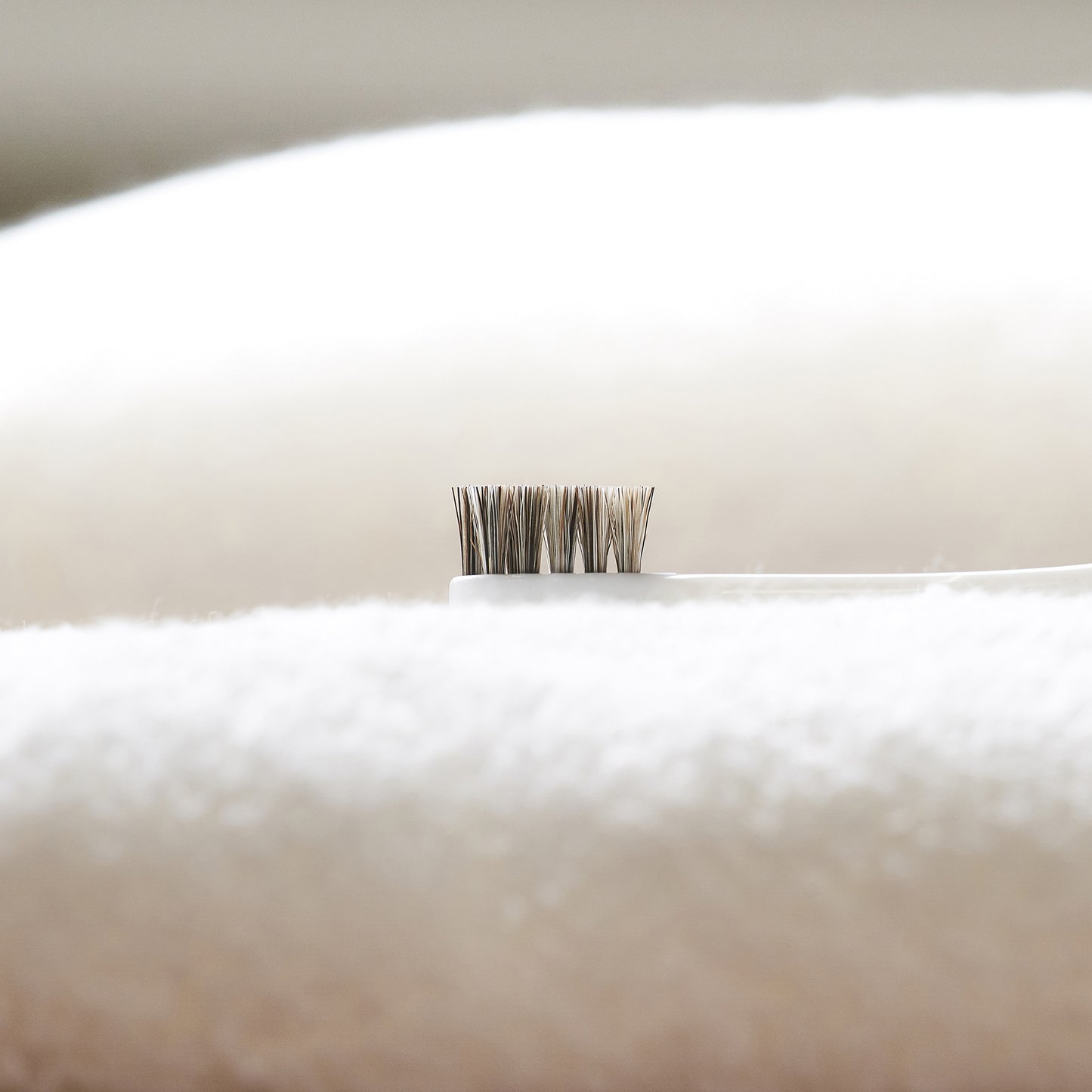 柔らかい天然毛歯ブラシ ミガケンデ 小型犬用 確かな心地 ウマ植毛 確かな磨き心地 1本