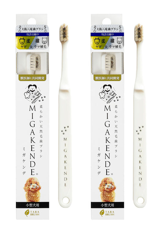 柔らかい天然毛歯ブラシ ミガケンデ 小型犬用 ヤギ&ウマ植毛 柔らか+磨き心地 2本