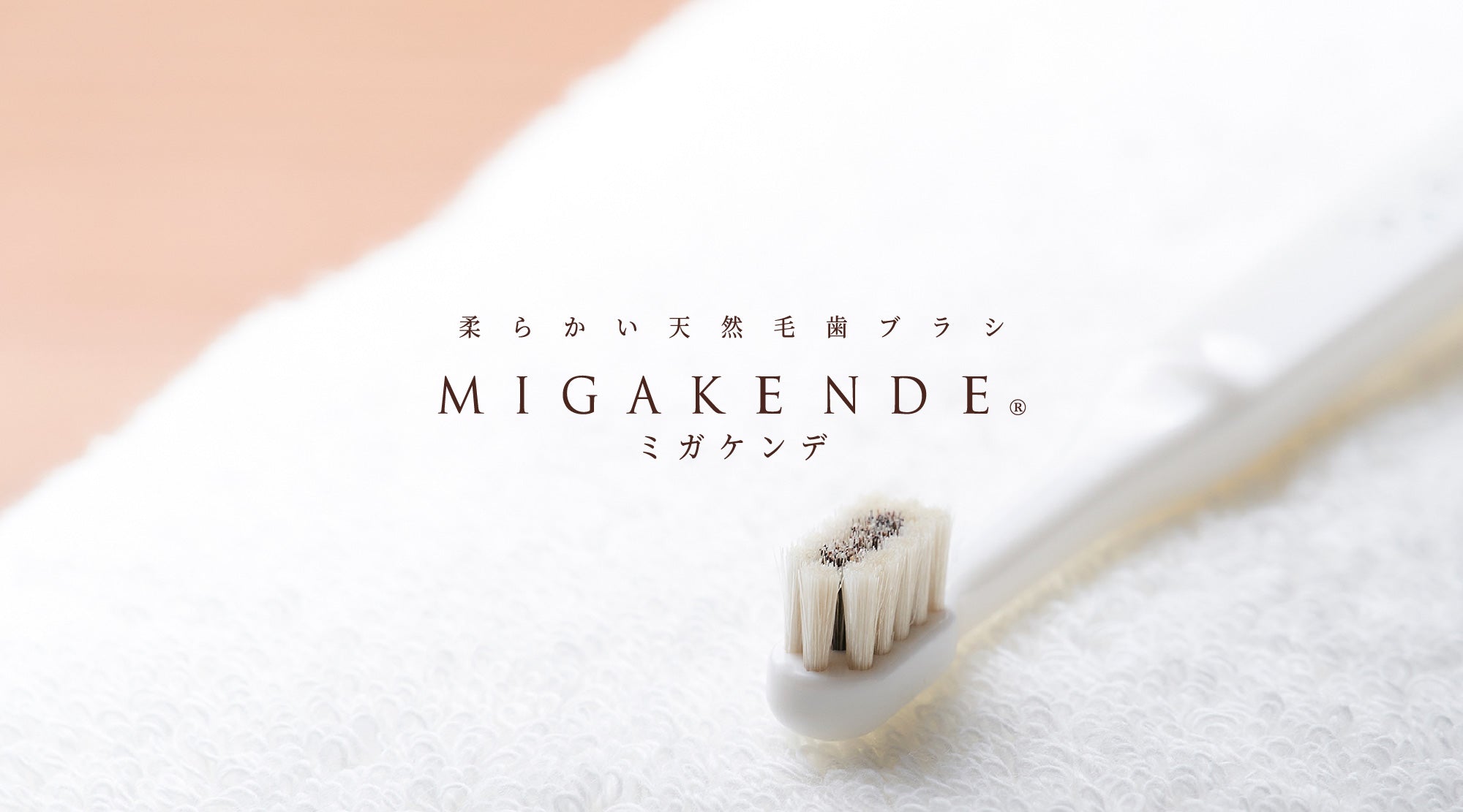 公式] migakende ミガケンデ ネットショップ – ミガケンデネットショップ