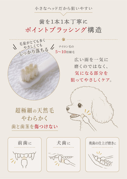 柔らかい天然毛歯ブラシ ミガケンデ 超極小サイズ ヤギ植毛 1本