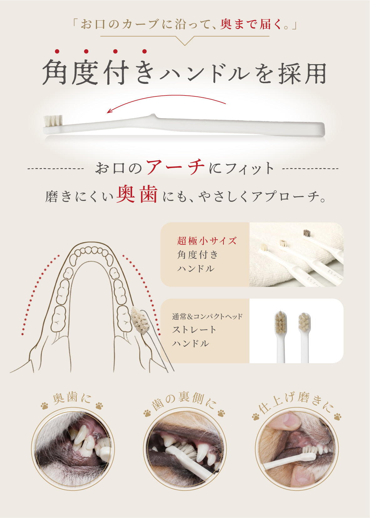 柔らかい天然毛歯ブラシ ミガケンデ 超極小サイズ ウマ植毛 1本