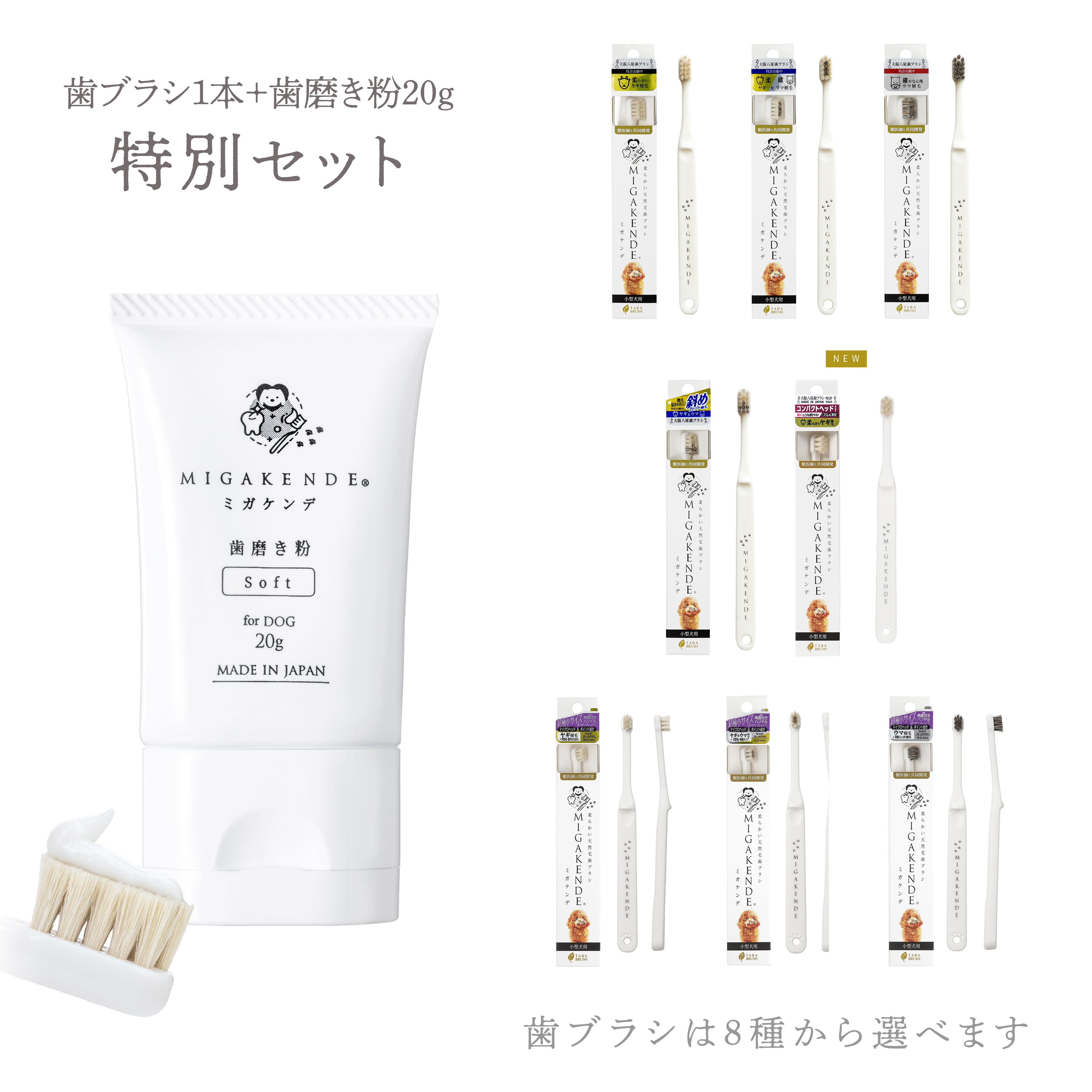 犬用歯ブラシ＋歯磨き粉20gセット｜MIGAKENDE公式 – ミガケンデネット