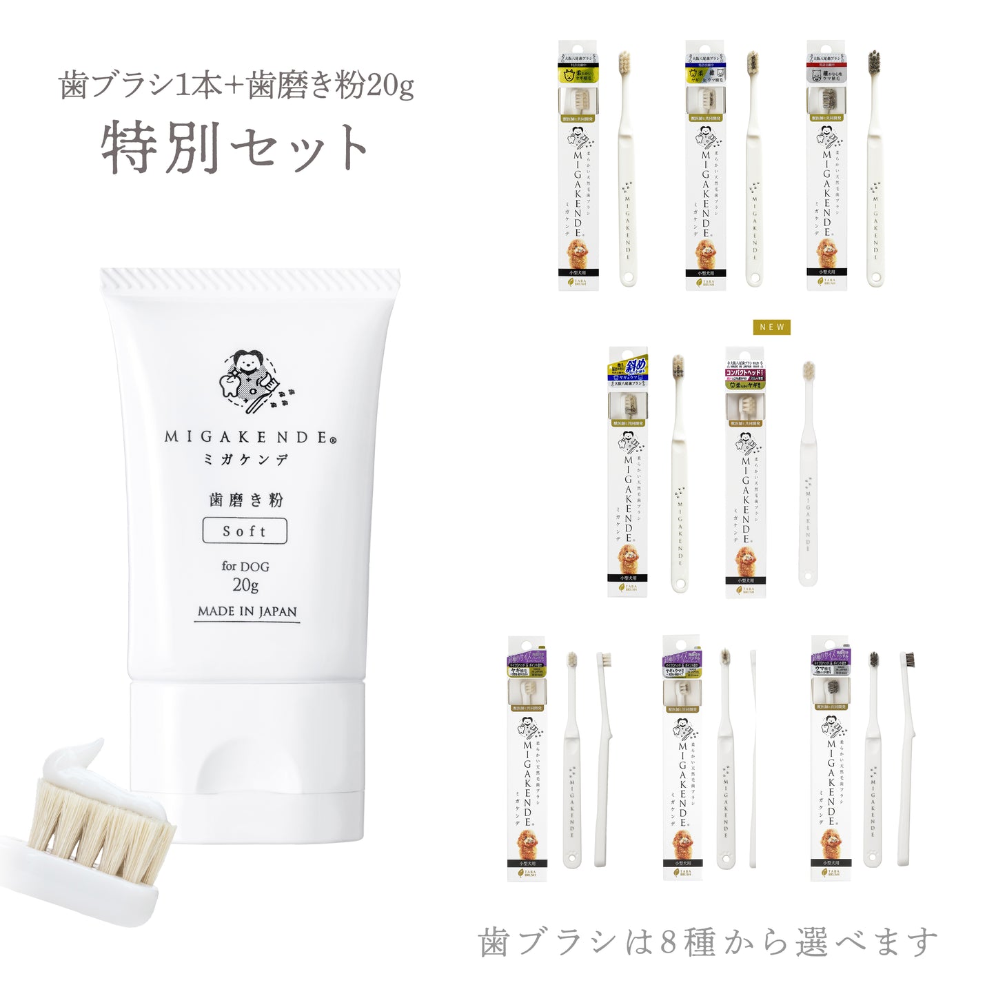 【NEW】柔らかい天然毛歯ブラシ ミガケンデ 歯磨き粉20g 特別セット