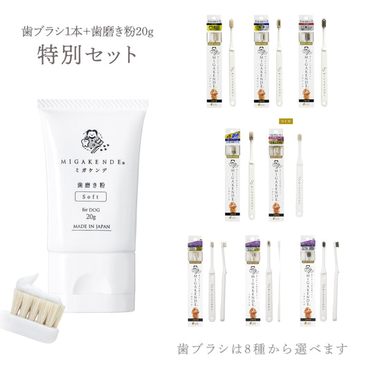 【NEW】柔らかい天然毛歯ブラシ ミガケンデ 歯磨き粉20g 特別セット