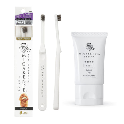 【NEW】柔らかい天然毛歯ブラシ ミガケンデ 歯磨き粉20g 特別セット