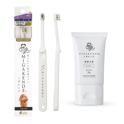 【NEW】柔らかい天然毛歯ブラシ ミガケンデ 歯磨き粉20g 特別セット