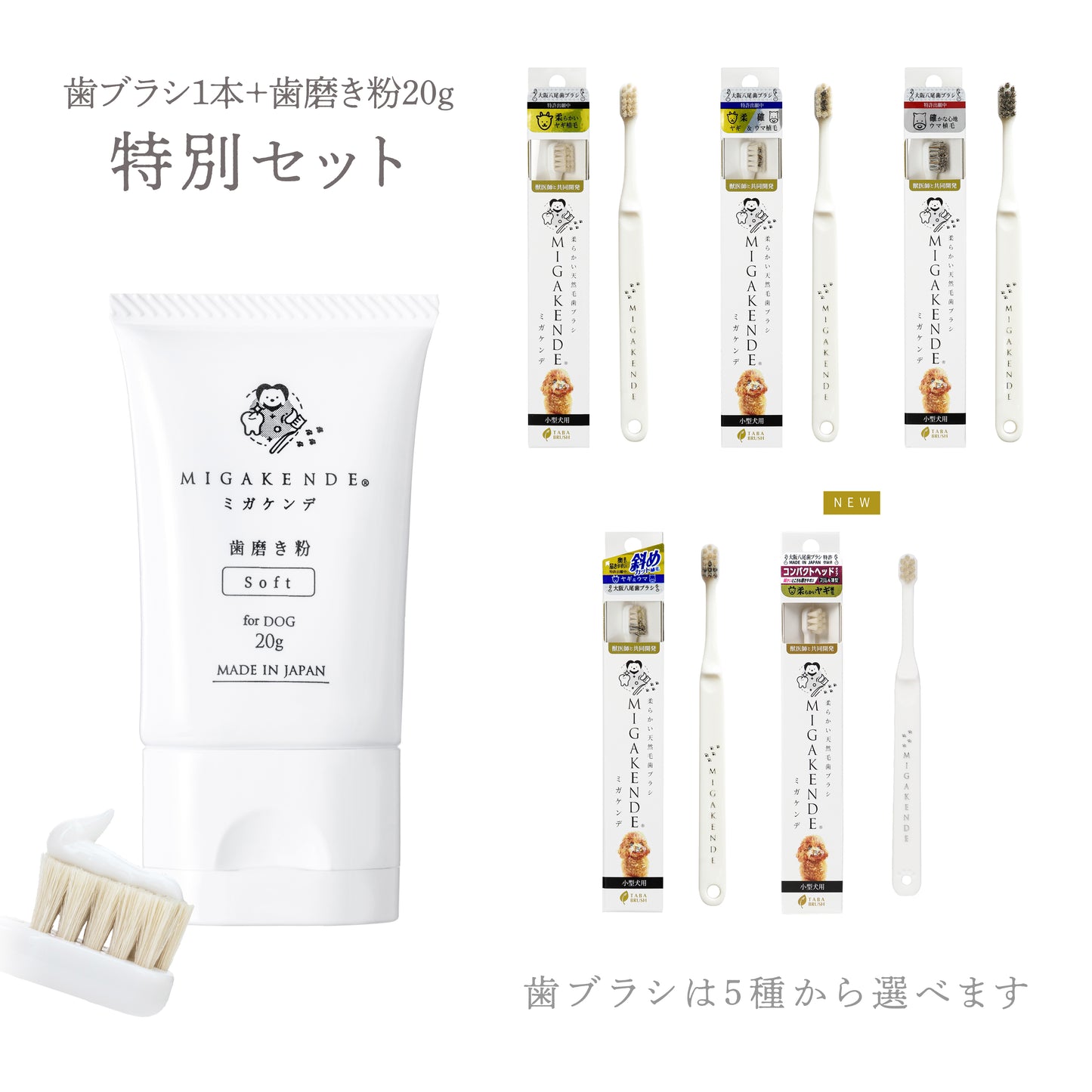 【NEW】柔らかい天然毛歯ブラシ ミガケンデ 歯磨き粉20g 特別セット